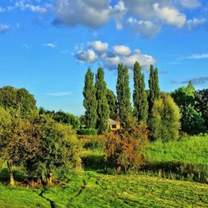 Agriturismi e Covid: chiude un anno nero per migliaia di aziende, si spera nel Natale