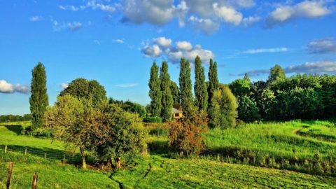 Agriturismi e Covid: chiude un anno nero per migliaia di aziende, si spera nel Natale