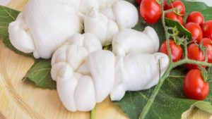 Mozzarella Gioia del Colle