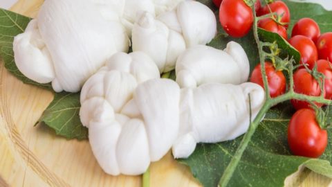 Mozzarella di Gioia del Colle पीडीओ है: 10 साल की लड़ाई