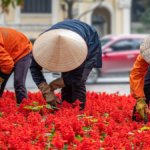 Brics: aderisce anche il Vietnam, il principale alleato di Pechino contro i dazi