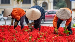 Lavoratori in Vietnam