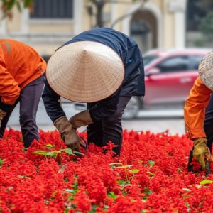 AB-Vietnam: malların %65'i için sıfır vergi içeren serbest ticaret anlaşması