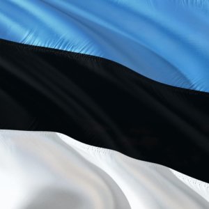 Estonia: conturile și TIC ok, dar exporturile plătesc criza