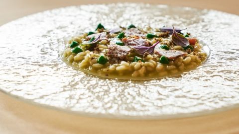 Rezept von Matteo Metullio: Risotto mit Tomatenwasser, Plankton, Kapern, Sardellen und Basilikum