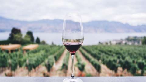 Covid: c’è poco da bere, e l’export del vino cala per la prima volta in 30 anni