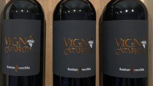 Vino Vigna Cataratto di Fontanavecchia