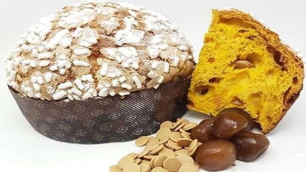 panettone masculin visciano