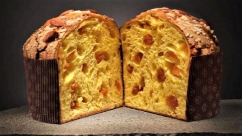 Panettoni di pasticceria, stellati, da concorso e solidali: i migliori da scegliere per il 2020
