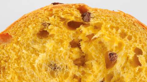 Panettone Maximo：来自 D'Antoni 糕点店的 Panettone Maximo 在罗马大获成功