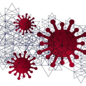 Internet dan Coronavirus: cara memaksimalkan koneksi selama krisis