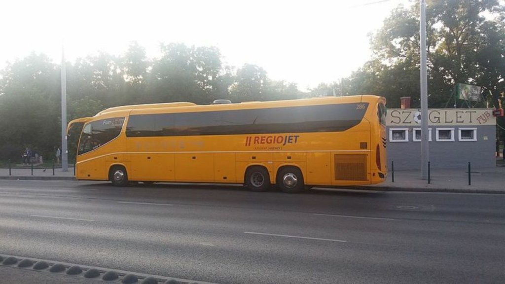 entrenador amarillo