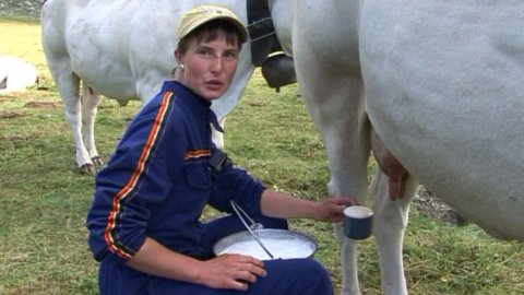 Roberta Colombero : la margarine qui emmène ses "filles" à l'alpage