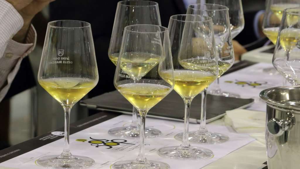 Calici di vino bianco