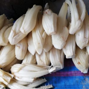 Die Rache der Buckeldistel, von der Bagna Cauda zum Gourmetgericht