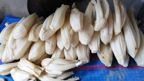 Balas dendam si bungkuk thistle, dari bagna cauda hingga hidangan gourmet