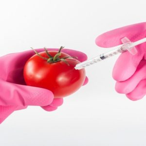 Agroalimentare: nel dopo Brexit si riaffacciano gli OGM