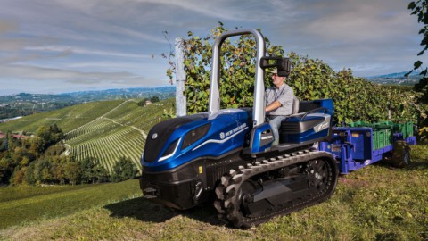 Vino Barolo, ecco la vendemmia 100% sostenibile