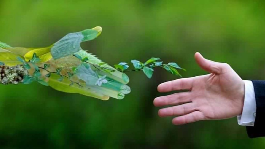 Green economy