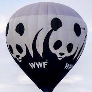 WWF: 国の政府と環境文化