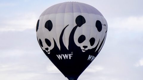 WWF: Ülke İçin Hükümet ve Çevre Kültürü