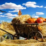 Agroalimentare, meno prodotti “tricolori” sugli scaffali ma la spesa italiana vale 11,4 miliardi