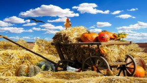 Agroalimentare, meno prodotti “tricolori” sugli scaffali ma la spesa italiana vale 11,4 miliardi