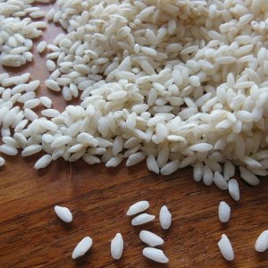 Tudo é possível: até o retorno do arroz à Sicília