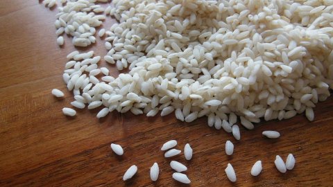 Everything is possible: even the return of rice to Sicily