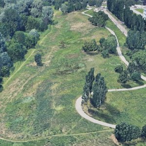 Torino, Rina e Arbolia (Snam e Cdp) piantano 2.100 alberi