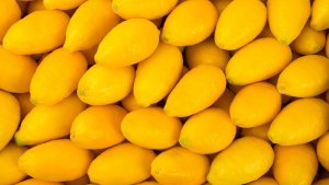 Lemonsnack
