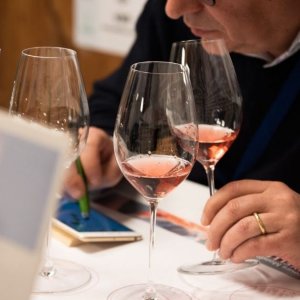 Vini Rosati: l’Italia miete successi al Concours di Bruxelles