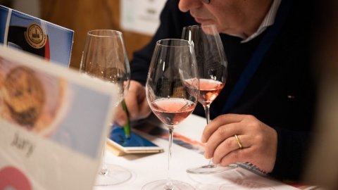 Vini Rosati: l’Italia miete successi al Concours di Bruxelles