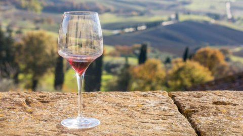 Leonardo, torna in vita il vino che produceva nella vigna di Milano