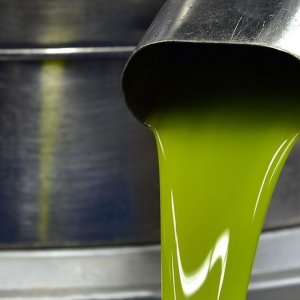 油：Bibenda Guide 评选的意大利最好的特级初榨橄榄油