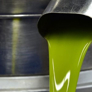 Olio Extravergine Oliva: l’AIRO lancia un corso per tecnico frantoiano a San Casciano