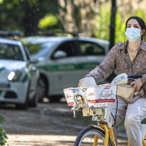 Covid, las áreas verdes en la ciudad bloquean la enfermedad: los resultados de una investigación ítalo-española en 18 ciudades