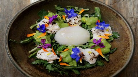 La ricetta dello Chef Marco Lagrimino, un nido di primavera con l’aglio orsino