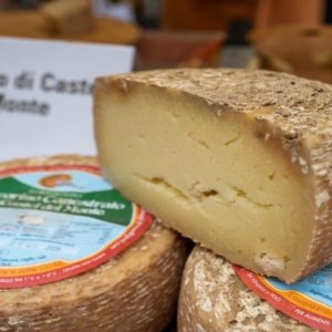 Il Food che riparte: Cheese dà appuntamento a settembre a Bra