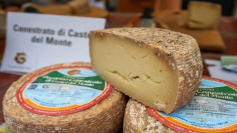 La Food qui redémarre : Cheese donne rendez-vous en septembre à Bra