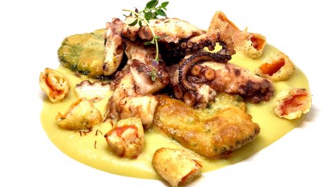 La receta de Salvatore Riontino: puré de alubias carpinas, pulpo y azafrán