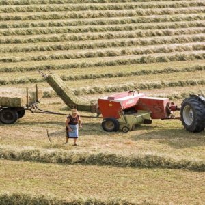 Agricoltura: aziende italiane per la bioeconomia. C’è il progetto Consorzio Biogas per raffinerie ecologiche diffuse