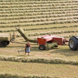 Agricultura sustentável: refugiados estrangeiros vão às aulas