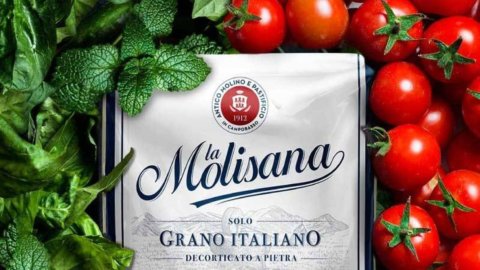 “Sua maestà il grano”: maxifinanziamento per aziende cerealicole di “La Molisana”