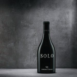 Solo, il nuovo vino da Merlese, incrocio Sangiovese-Merlot
