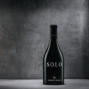 Solo, o novo vinho de Merlese, um cruzamento Sangiovese-Merlot