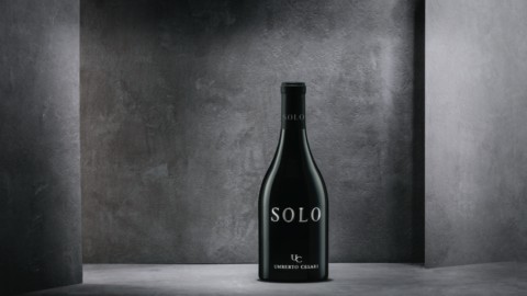 Solo, the new wine from Merlese, a Sangiovese-Merlot cross