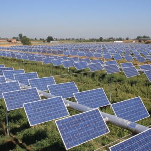 Energia: l’agrovoltaico, ecco perché è utile