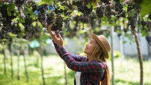 Donna che lavora in vigna