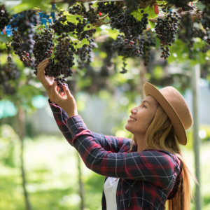 Vino, food, agricoltura: i giovani motore della ripartenza